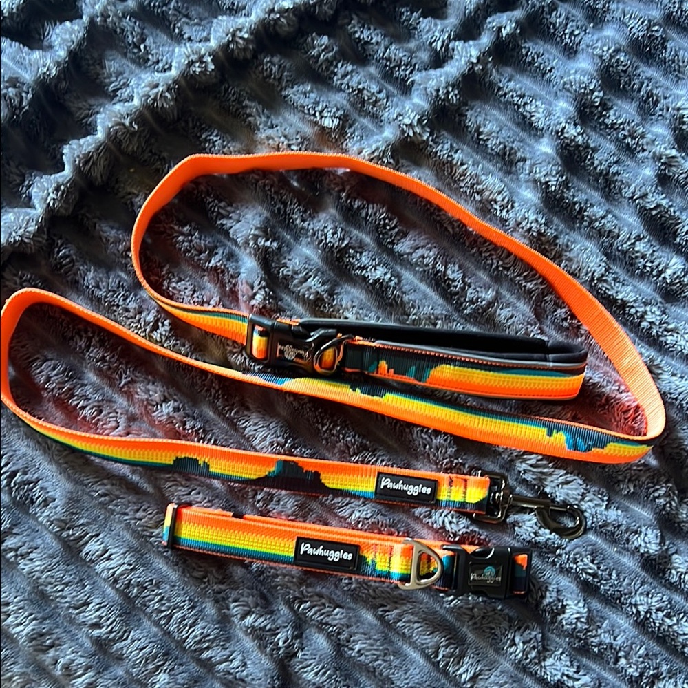 Pawtitas Orange and Multicolor Dog Leash Set